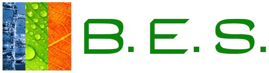 Bio Energies Services